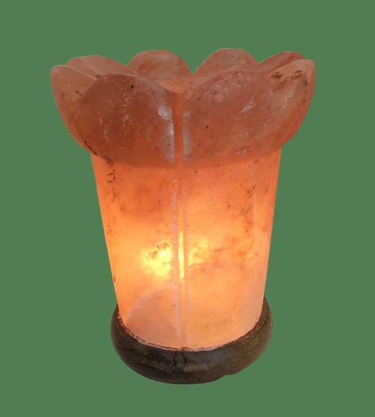 Himalayan Salt Lamp Pink Vase